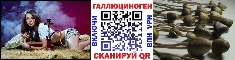 Купить закладки  Михайловка  Псилоцибиновые грибы мицелий 